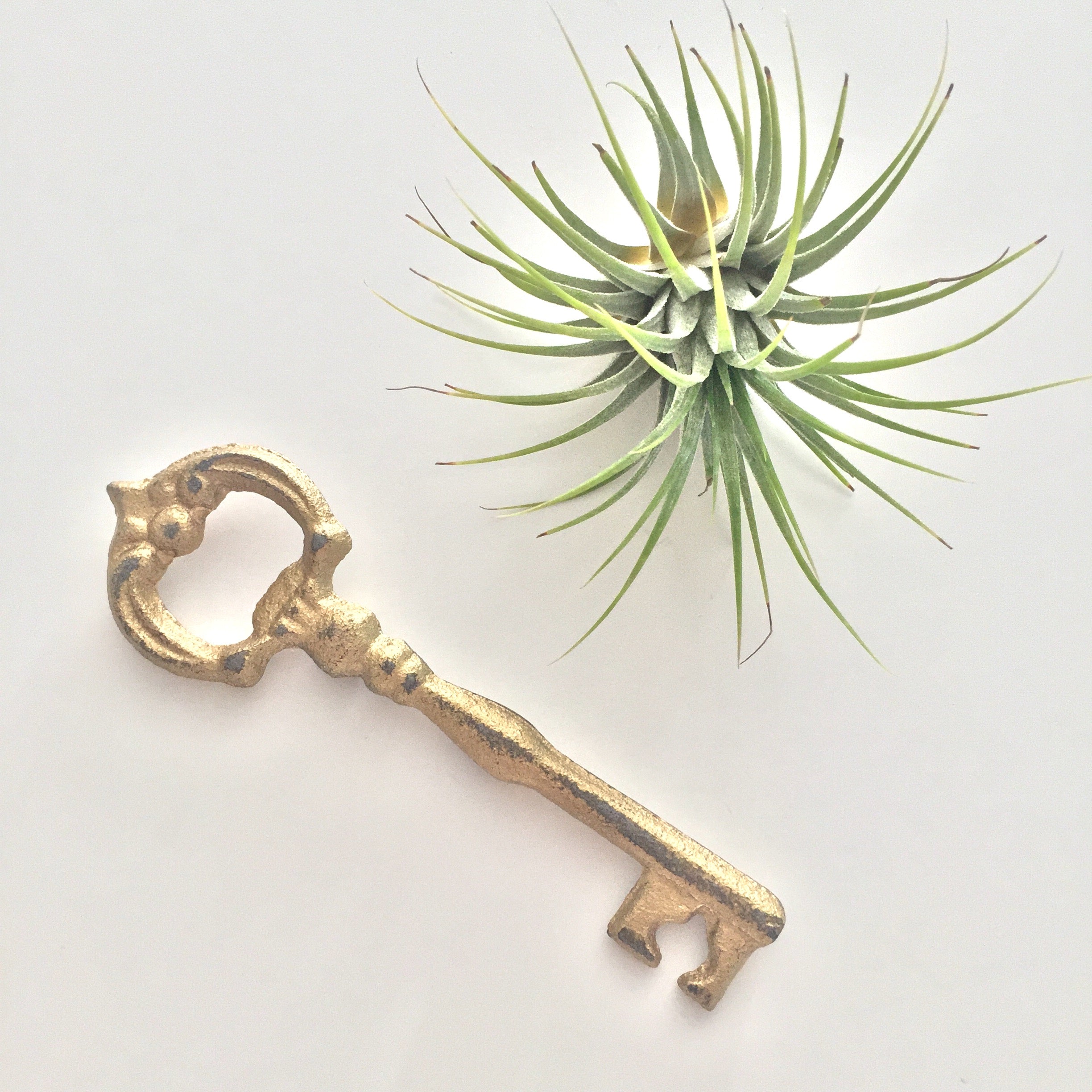 Key Bottle Opener