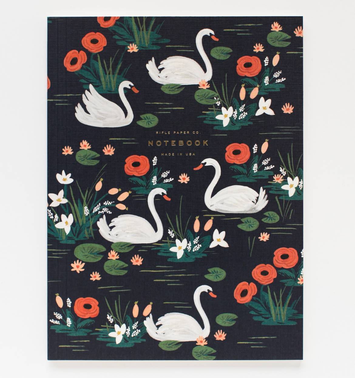 Birds of a Feather Notebooks
