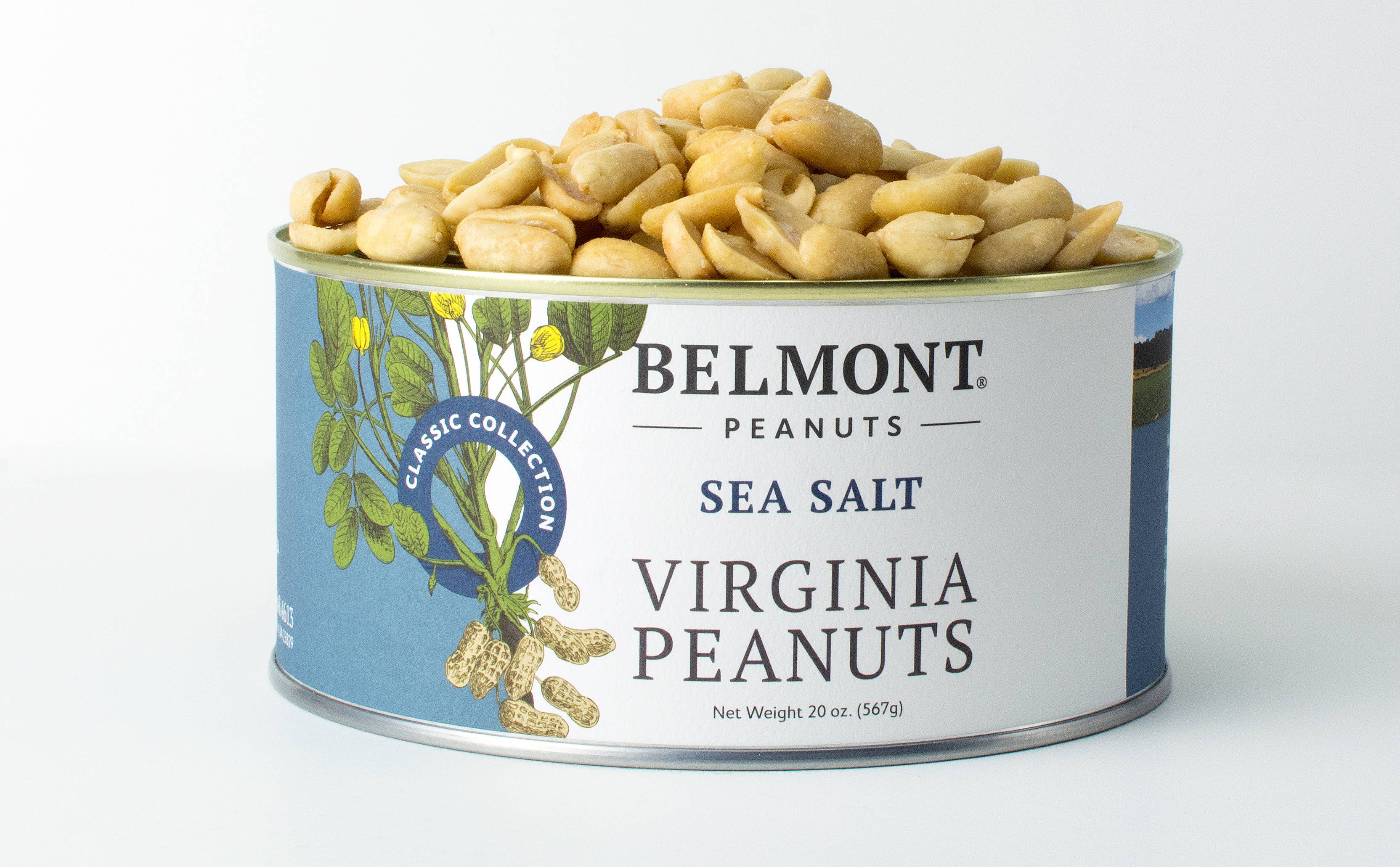 Belmont Peanuts - Sea Salt Virginia Peanuts: 10oz