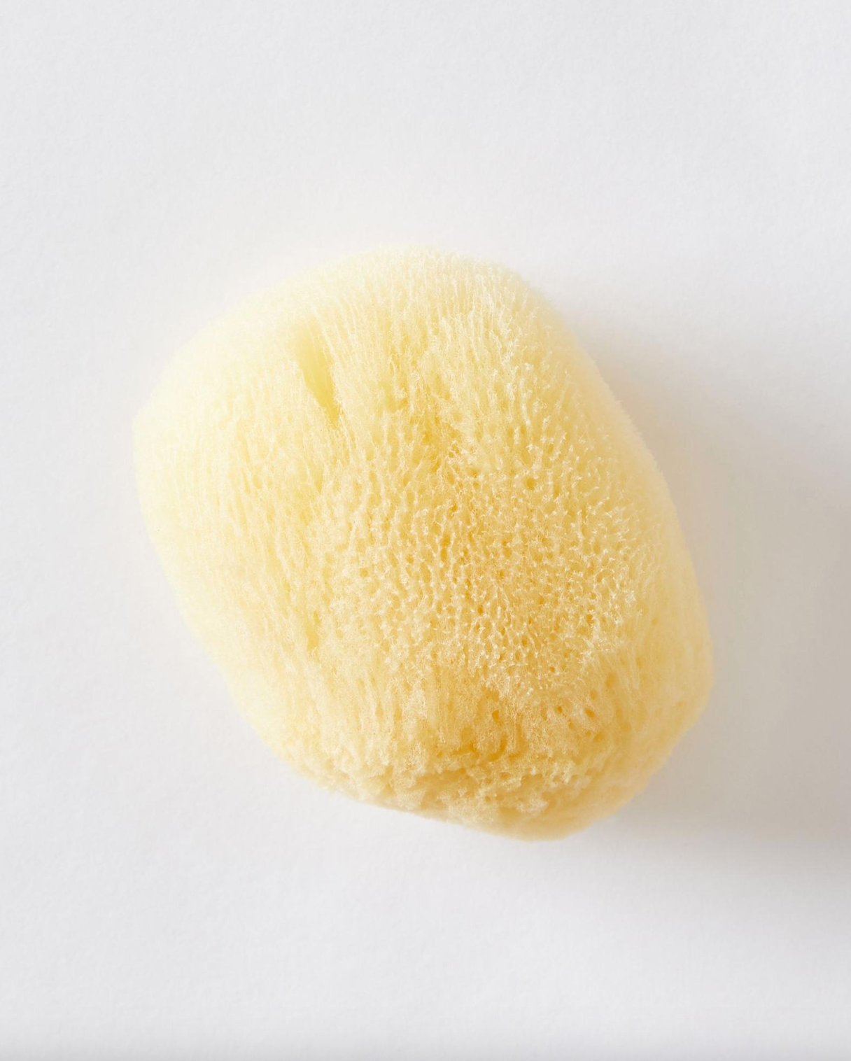 FACIAL SEA SPONGE