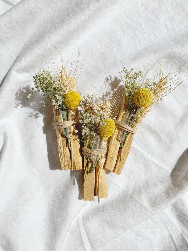 Ecuadorian Palo Santo
