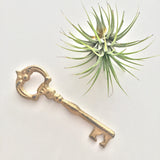 Key Bottle Opener