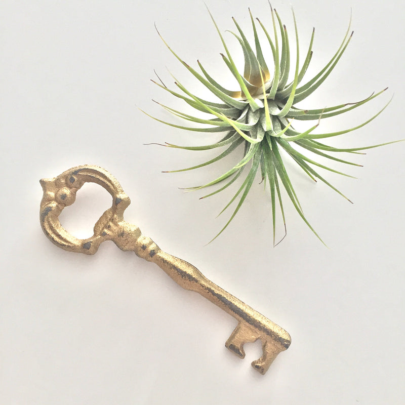Key Bottle Opener