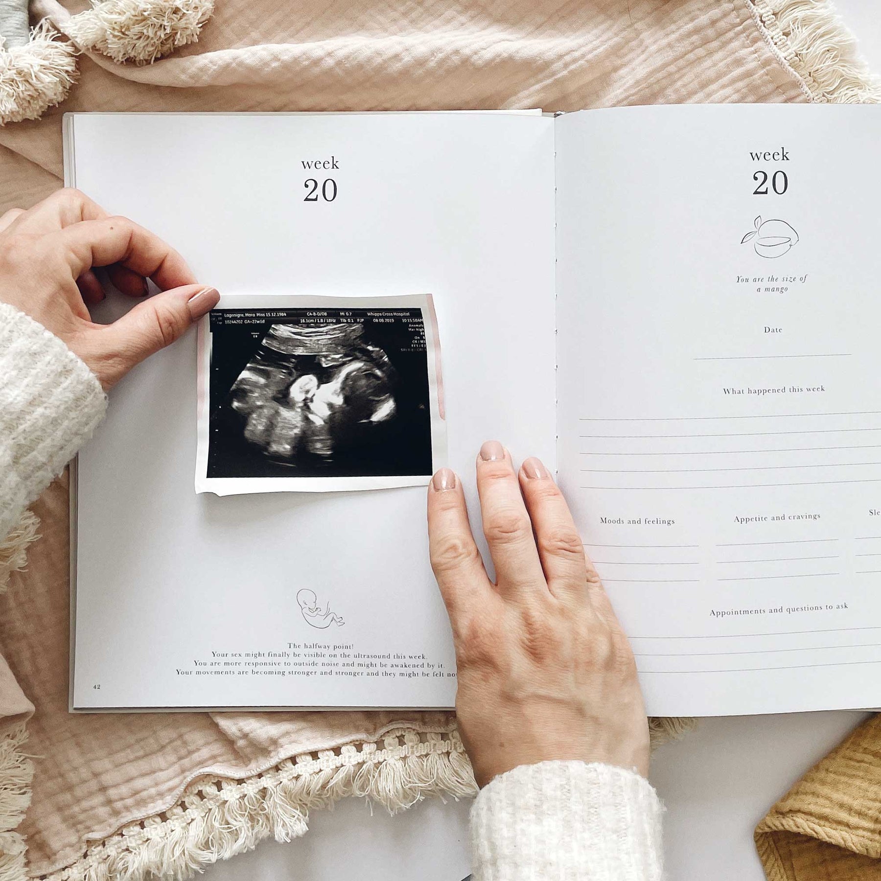 PREGNANCY JOURNAL - PEARL